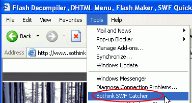 Sothink SWF Decompiler